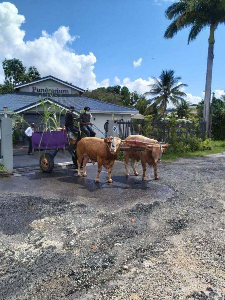 Organisation d’obsèques en Guadeloupe